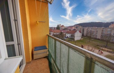 Prodej byt 1+1 v Boskovicích