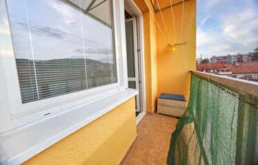 Prodej byt 1+1 v Boskovicích