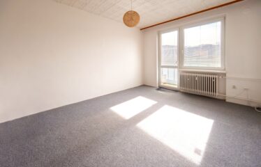 Prodej byt 1+1 v Boskovicích