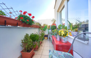 Prodej bytu 2+kk Brno Židenice