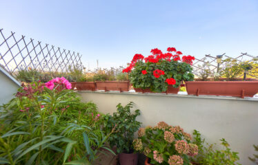 Prodej bytu 2+kk Brno Židenice