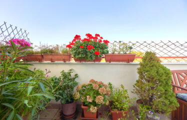 Prodej bytu 2+kk Brno Židenice