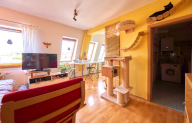 Prodej bytu 2+kk Brno Židenice