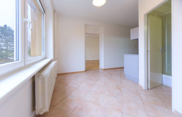 PRODÁNO -Prodej bytu 2+1 v Boskovicích