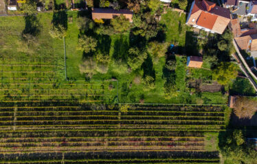 PRODÁNO – Prodej stavebních pozemků Čejkovice