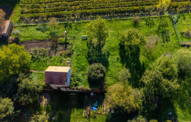 PRODÁNO – Prodej stavebních pozemků Čejkovice