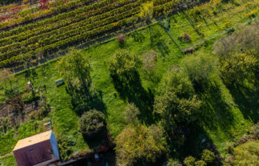 PRODÁNO – Prodej stavebních pozemků Čejkovice