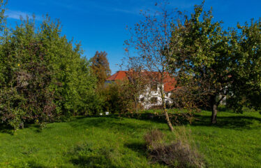 PRODÁNO – Prodej stavebních pozemků Čejkovice