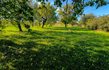 PRODÁNO – Prodej stavebních pozemků Čejkovice