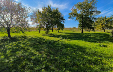 PRODÁNO – Prodej stavebních pozemků Čejkovice