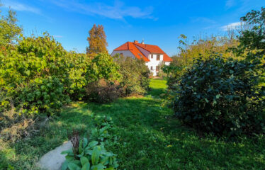 PRODÁNO – Prodej stavebních pozemků Čejkovice