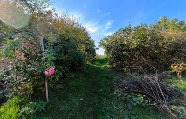 PRODÁNO – Prodej stavebních pozemků Čejkovice