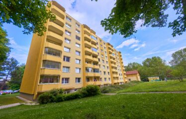 Prodej bytu 2+1 v Boskovicích