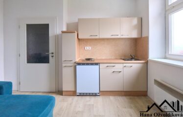 Pronájem bytu 1+kk v Jevíčku