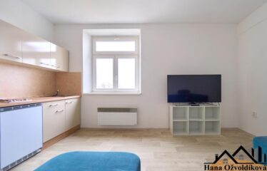 Pronájem bytu 1+kk v Jevíčku