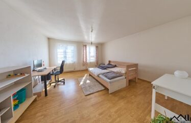 Prodej rodinného domu 6+2 v Jevíčku