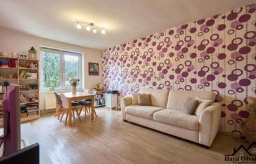 Prodej bytu 2+1 v Blansku