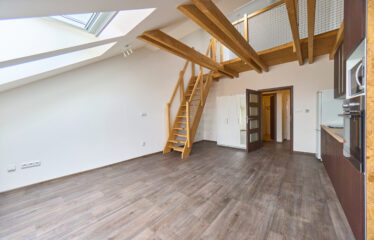 Pronájem bytu 1+kk, Brno ulice Stará