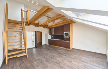 Pronájem bytu 1+kk, Brno ulice Stará