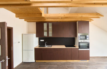 Pronájem bytu 1+kk, Brno ulice Stará