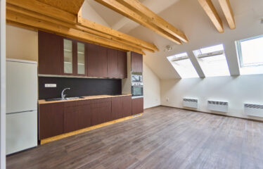 Pronájem bytu 1+kk, Brno ulice Stará