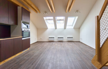 Pronájem bytu 1+kk, Brno ulice Stará