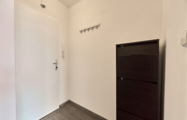 Pronájem bytu 1+kk, Brno ulice Stará