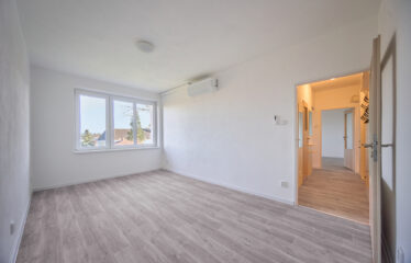 Byt 2+1 Velké Opatovice