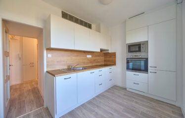 Byt 2+1 Velké Opatovice