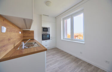 Byt 2+1 Velké Opatovice