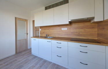 Byt 2+1 Velké Opatovice