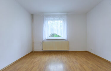 Pronájem bytu 2+1 v Boskovicích