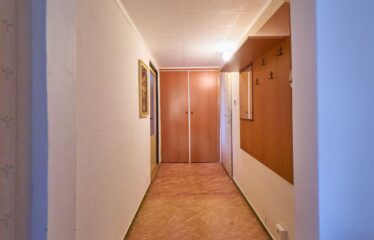 Prodej bytu 3+1 Velké Opatovice