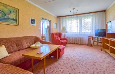 Prodej bytu 3+1 Velké Opatovice