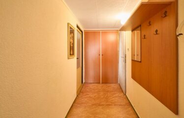 Prodej bytu 3+1 Velké Opatovice