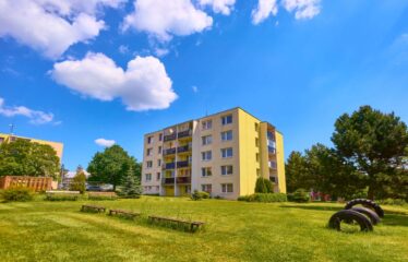 Prodej bytu 3+1 Velké Opatovice