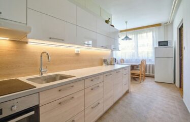 Prodej bytu 3+1 Velké Opatovice